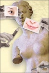 성형, 그 탐욕의 역사에 칼을 대다