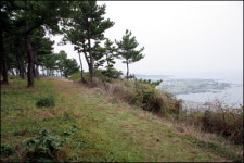 제주 올레길 놀멍 쉬멍 걸으멍 빨려들어간다, 섬 품으로