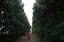 거문오름 굼부리 원시의숲… 탐라에 숨겨진 속살