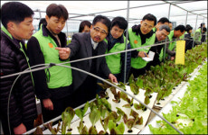 엘리트 귀농 새 물결