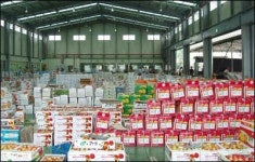 김천농산물도매시장 문 닫나…