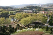 45년 정성이 가꾼 수목원, 조경의 백미 보는 듯