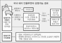 [돼지 인플루엔자 비상] 여행·양돈업계·의료계… 비상등
