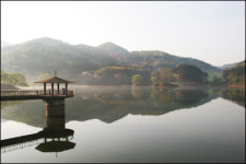 서산 용비 저수지, 새벽 물안개, 그리고 몽환 젖는 너