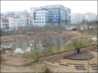 [청주] "두껍아! 구룡산에 오래오래 살 집 줄게"