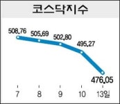 [코스닥 시황] 보안업체 관련 주 하한가