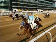 부산경남경마공원 잘 나가네