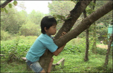 자연과 함께하는 대안교육 숲 유치원
