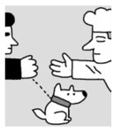 보신탕, 그냥 내비둬~