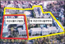 현대미술관, 국군병원 부지 포함해 건립