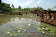 [골든 에이지] <2> 해여림 식물원 일군 출판인 나춘호