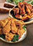 [프랜차이즈 창업] 빅투치킨