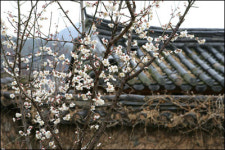 [관광공사 추천] 따뜻한 한옥에서 하룻밤