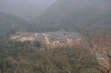 청도 운문사와 대적사… 솔숲길 따라서 한발 한발 피안의 세계로산책