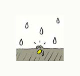 [지평선/3월 16일] 봄맞이