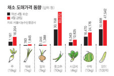농수산물 값 급등… 식탁 비상