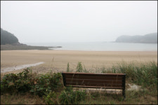 각양각색 태안 해수욕장… 내 쉴 곳 어디?