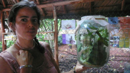 [세계의 소프트시티를 가다] <29> 아바나 - 녹색으로 이룬 두 번째 혁명