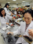 [숨은 월드 베스트 기업을 찾아서] <4·끝> 맛을 수출하라… CJ제일제당