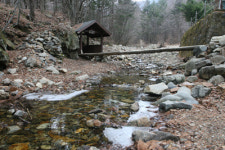 천연기념물을 마신다