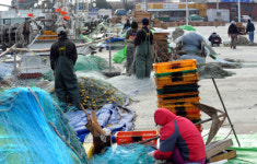 부산 기장군 豊漁 기원