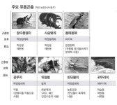 귀뚜라미·반딧불이가 돈 물어와요