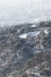 [설특집] 넘실대는 북악 산자락과 빌딩숲 서울이 이렇게 아름다웠나
