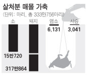 [MB정부 3년] 구제역 대란