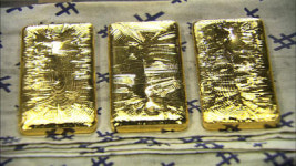 [채널 선택 2월 20일] SBS TV동물농장 外