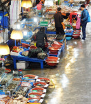 국내 수산시장·횟집 엎친데 덮친격