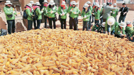 미래숲 녹색방중단 봉사활동