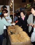 금산인삼 부산특별전