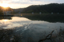 물안개 피는 새벽 호수로… 고독을 낚으러 가다