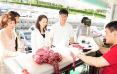 경북도 한우 소비촉진에 팔 걷어