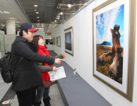 갤러리 마당 그림 좋네~