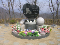 고 최진실 안장 묘지 재단, 사기 혐의 입건