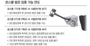 로스쿨 3기생 2025년까지 법관 못 된다
