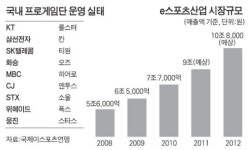 [스포츠의 경영학] <하> 진화하는 스포츠 마케팅