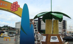 D-12 금산세계인삼엑스포 준비 구슬땀