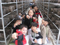 버섯 테마파크, 쌈 채소 계약재배, 쌀 공동경작… FTA 안 두렵다