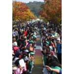 이천쌀로 지은 밥 생각만해도 군침~