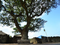 폭풍의 세월, 삶과 죽음을 위무하다