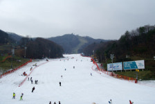 [스키장 소식] 비발디파크 스키월드 12월 할인이벤트 外