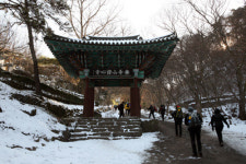 [설 특집] 이렇게 좋은 곳 곁에 두고 집안에만 있었네