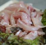 기다렸다! 맛있는 봄, 입안의 행복 흐드러지다