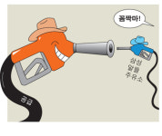 [한줌 카툰] 삼성 알뜰 주유소