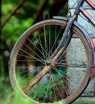 [Lens View] 대륙의 두 바퀴는 오늘도 구른다… 세월을 넘어 동행의 페달
