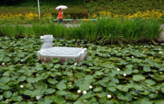 온천천 수련길 산책