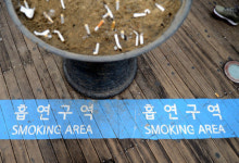 [Special] 멸종위기종이 내몰린 최후 도피처 또는 안식처