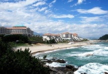 대명리조트, 1,230만원 실속형상품 특별회원 모집